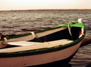 2077 a small wooden boat on a lake pv